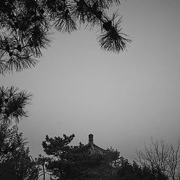 《Off the Grid》实机预告公开 年内上线